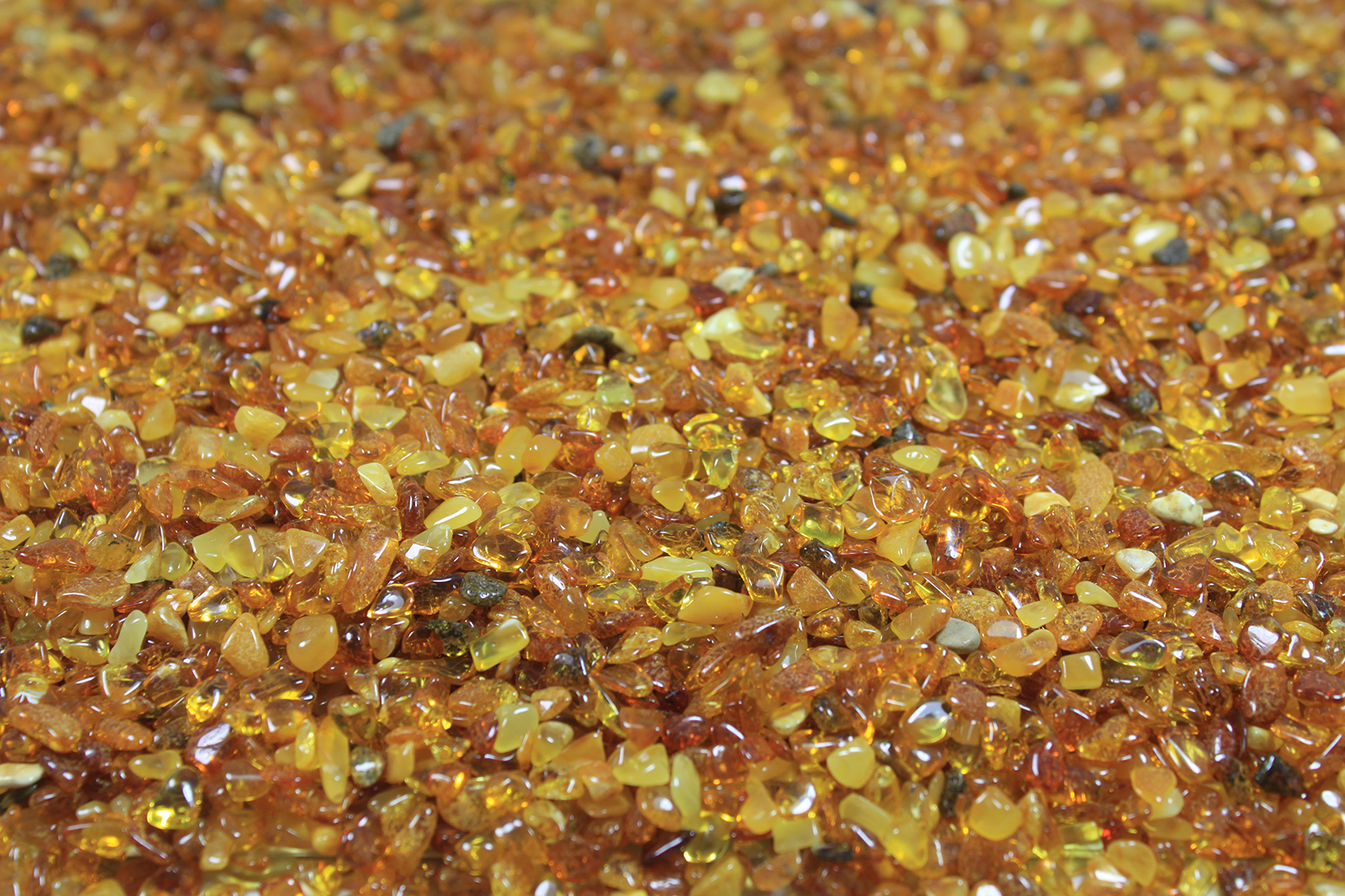 Free Shape/Colours Amber Beads
