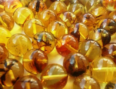 Fossil  Baltic Amber Beads